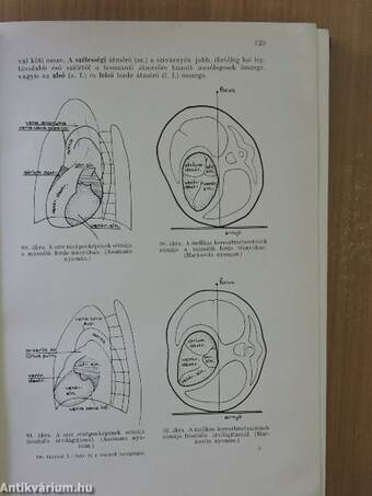 A sziv és a vérerek betegségei