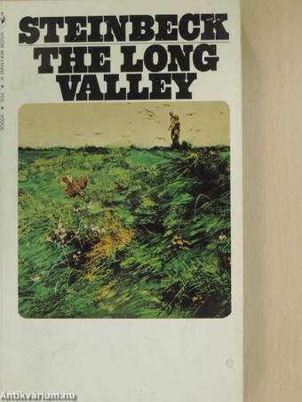 The Long Valley