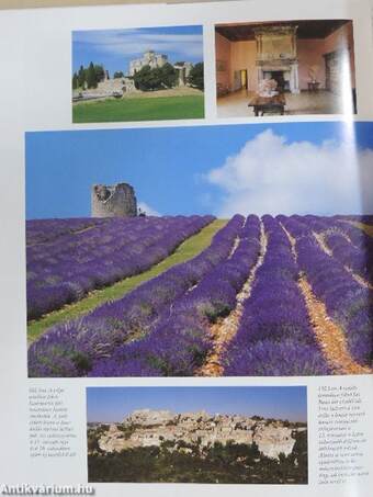 Provence