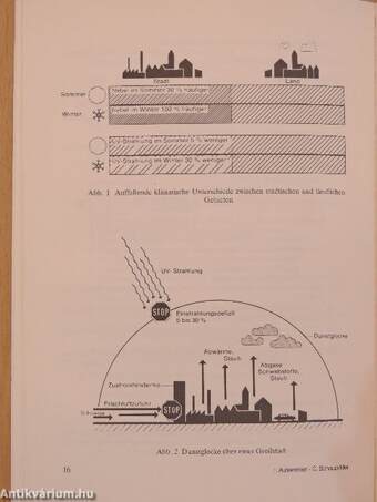 Auswerten und Schreiben