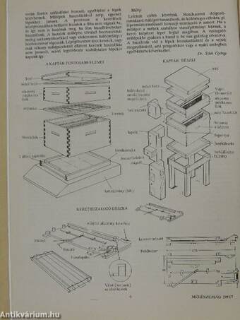 Méhészújság 1991. június