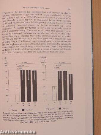 L-Carnitine and its role in medicine: From function to therapy