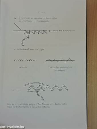 A békés megyei szlovákság ködmön-hímzésmintái (szakterminológiája)