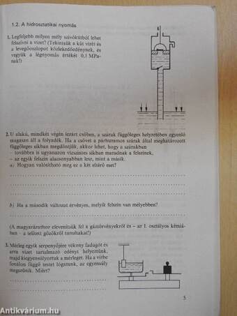 Fizika II. Munkafüzet