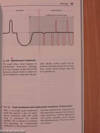 Manic-Depressive Illness: Therapy with Carbamazepine