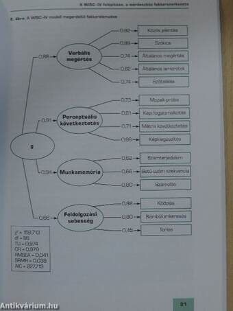 Tapasztalatok a WISC-IV gyermek-intelligenciateszt magyarországi standardizálásáról