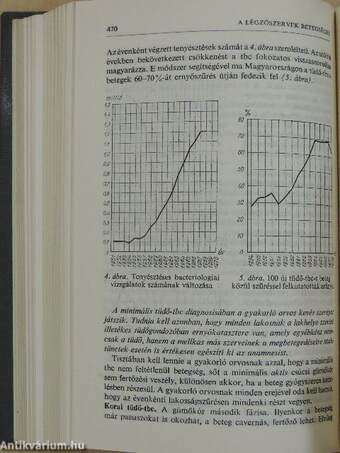 A gyakorló orvos enciklopédiája I. (töredék)