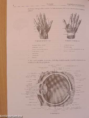 Grafológiai alapismeretek 29-30. lecke