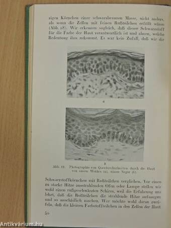 Einführung in die Wissenschaft vom Leben oder Ascaris I.