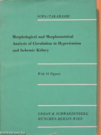 Morphological and Morphometrical Analysis of Circulation in Hypertension and Ischemic Kidney