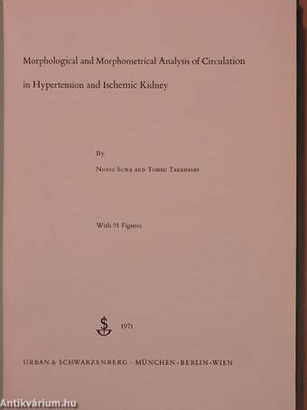 Morphological and Morphometrical Analysis of Circulation in Hypertension and Ischemic Kidney