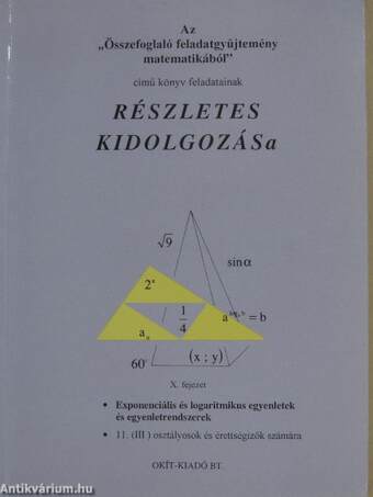 Az "Összefoglaló feladatgyűjtemény matematikából" című könyv feladatainak részletes kidolgozása X. fejezet