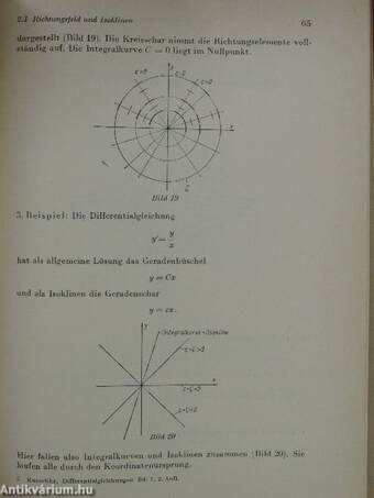 Differentialgleichungen und Randwertprobleme I.