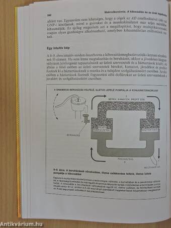 Közgazdaságtan I-III.