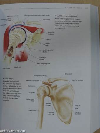 Az emberi test atlasza