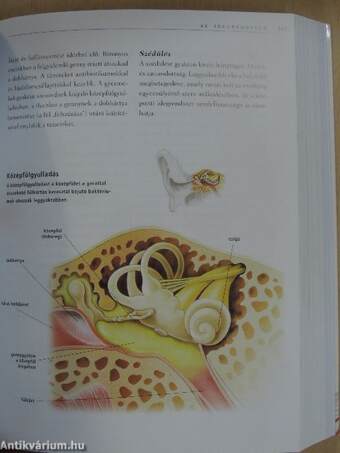 Az emberi test atlasza