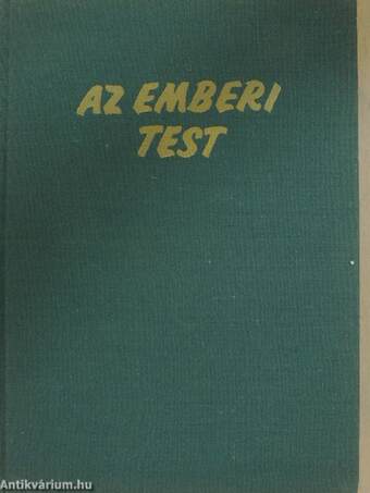 Az emberi test 2. (töredék)