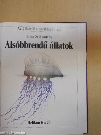 Alsóbbrendű állatok