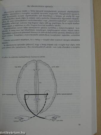 Neurológia, Neuropszichológia