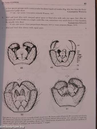 Contributions to a Manual of Palaearctic Diptera 2.