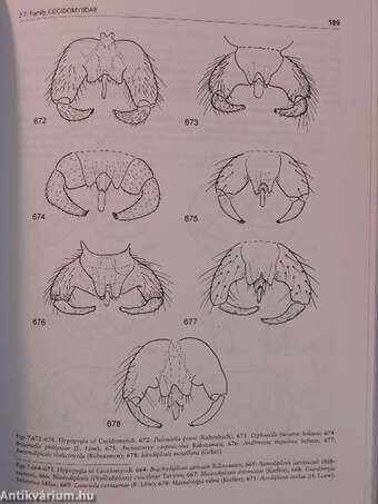 Contributions to a Manual of Palaearctic Diptera 2.