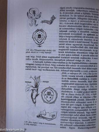 Biológia I-II.