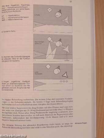 Cortisonderivate in Klinik und Praxis