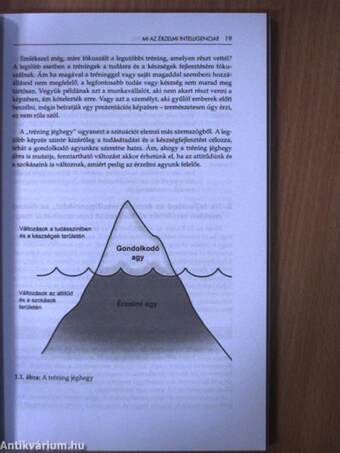 Érzelmi intelligencia coaching