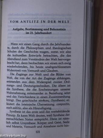 Meine Lieder werden leben/Vom Antlitz in der Welt