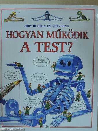 Hogyan működik a test?