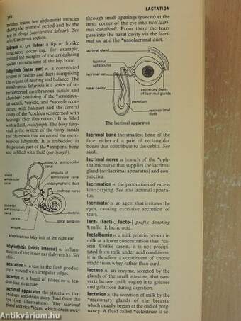 Oxford Concise Medical Dictionary