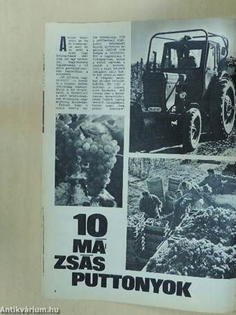 Pajtás 1972. október 25.