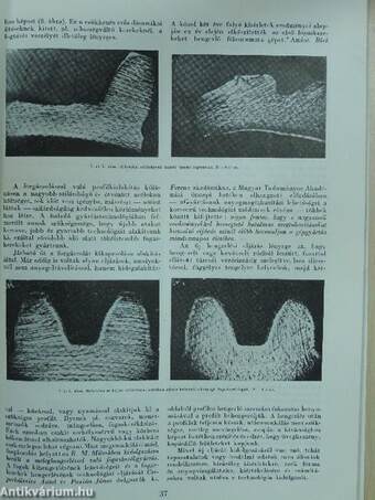 Magyar Technika 1951. július