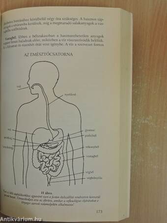 Öngyógyítás tenyérmasszázzsal