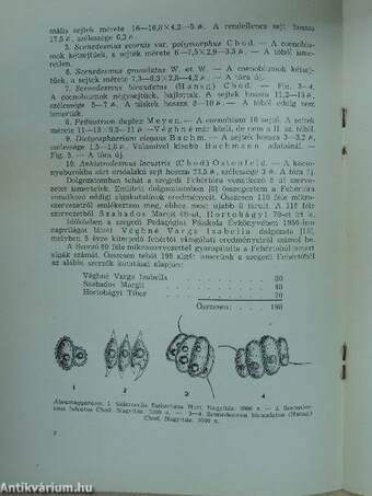 Újabb adatok a szegedi Fehértó mikrovegetációjához