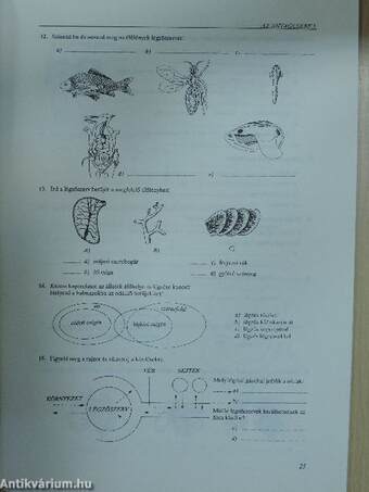 Komplex munkafüzet biológiából 7.