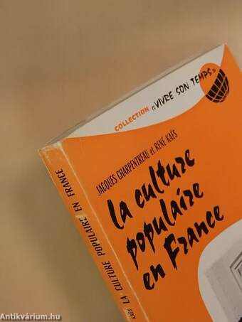 La culture populaire en France