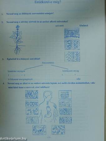 Házi feladat biológiából 8. osztályosoknak