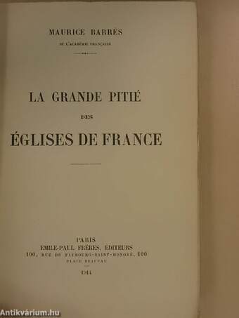 La grande pitié des églises de France