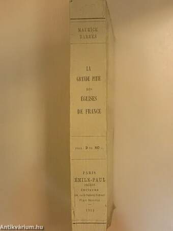 La grande pitié des églises de France