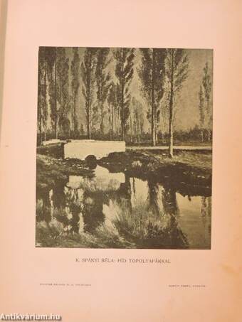 A Budapesti Ujságirók Egyesülete Almanachja 1905. (rossz állapotú)