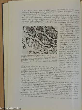 Az Országos Frédéric Joliot-Curie Sugárbiológiai és Sugáregészségügyi Kutató Intézet 10 éve