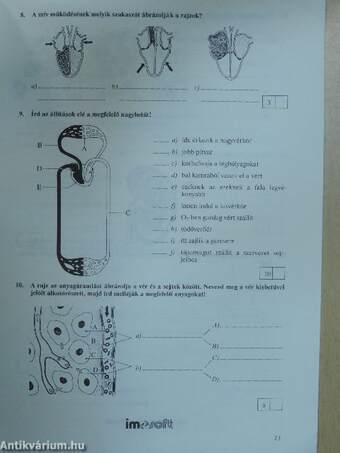 Biológia 7A