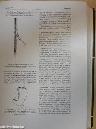 Orvosi lexikon 2. (töredék)