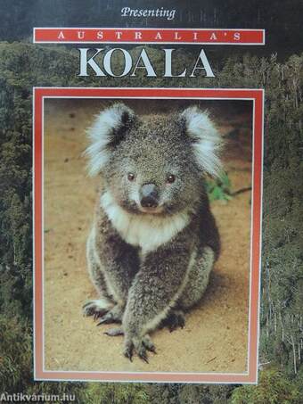 Presenting Australia's Koala