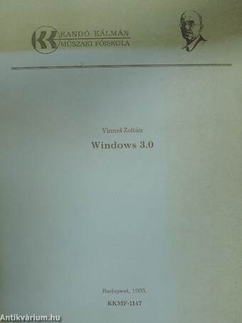 Windows 3.0