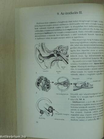 Biológia 8.