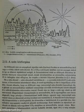 A környezetvédelem alapjai