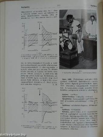 Orvosi lexikon 3. (töredék)