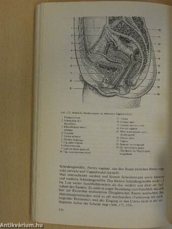 Topographische Anatomie des Menschen